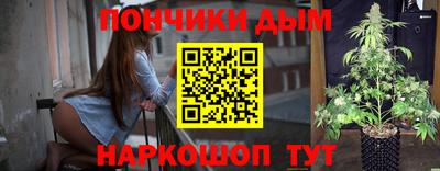 apvp Гатчина