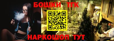 apvp Гатчина